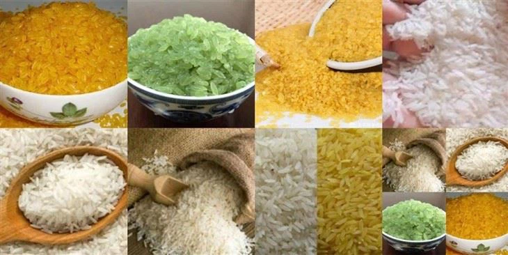 Nutritional Rice Making Machine Extruders